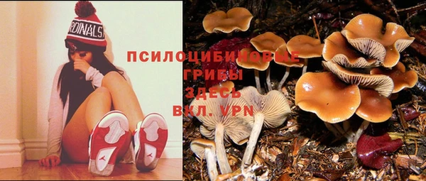 индика Наволоки