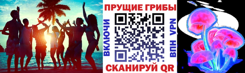 где купить наркотик  Устюжна  Псилоцибиновые грибы мухоморы 