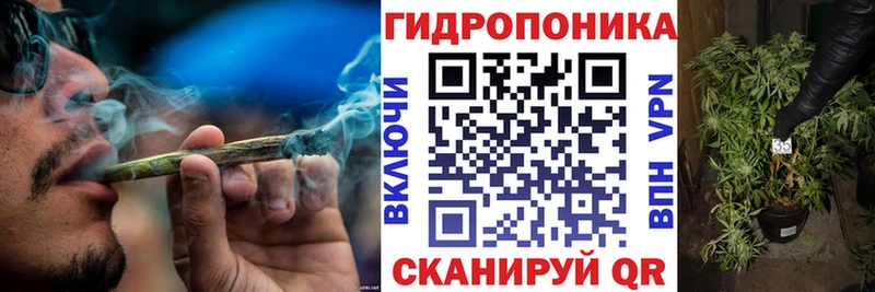 Шишки марихуана сатива  Устюжна 